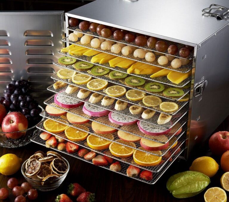 Best Food Dehydrator